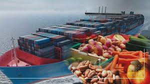 Read more about the article How Nigerian Exporters Can Insure Their Goods