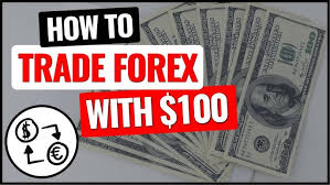 step-by-step-guide-starting-forex-trading-africa-100-dollars