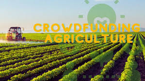 how-to-fix-common-mistakes-in-agricultural-crowdfunding-platforms