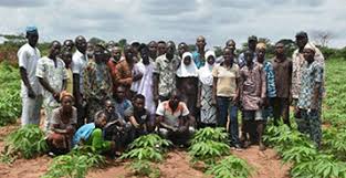 step-by-step-guide-to-group-farming-investments-nigeria