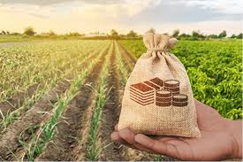 why-farmers-in-africa-need-access-to-credit