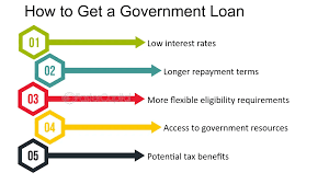 why-government-loans-take-time-to-process