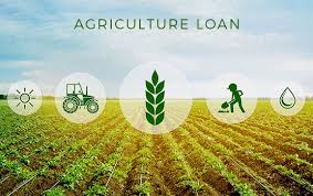 why-farmers-struggle-to-access-agricultural-loans