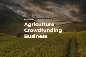 Learn how to fix failed farm crowdfunding projects in Africa. Discover causes, solutions, recovery steps, and tips for farmers, students, and investors in Nigeria, Kenya, Ghana, Uganda & South Africa.