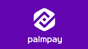 how-to-fix-palmpay-card-declined-issues-africa