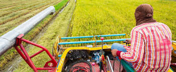 why-many-africans-avoid-agricultural-investments