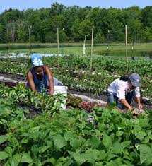 how-to-fix-storage-and-distribution-problems-in-farm-businesses